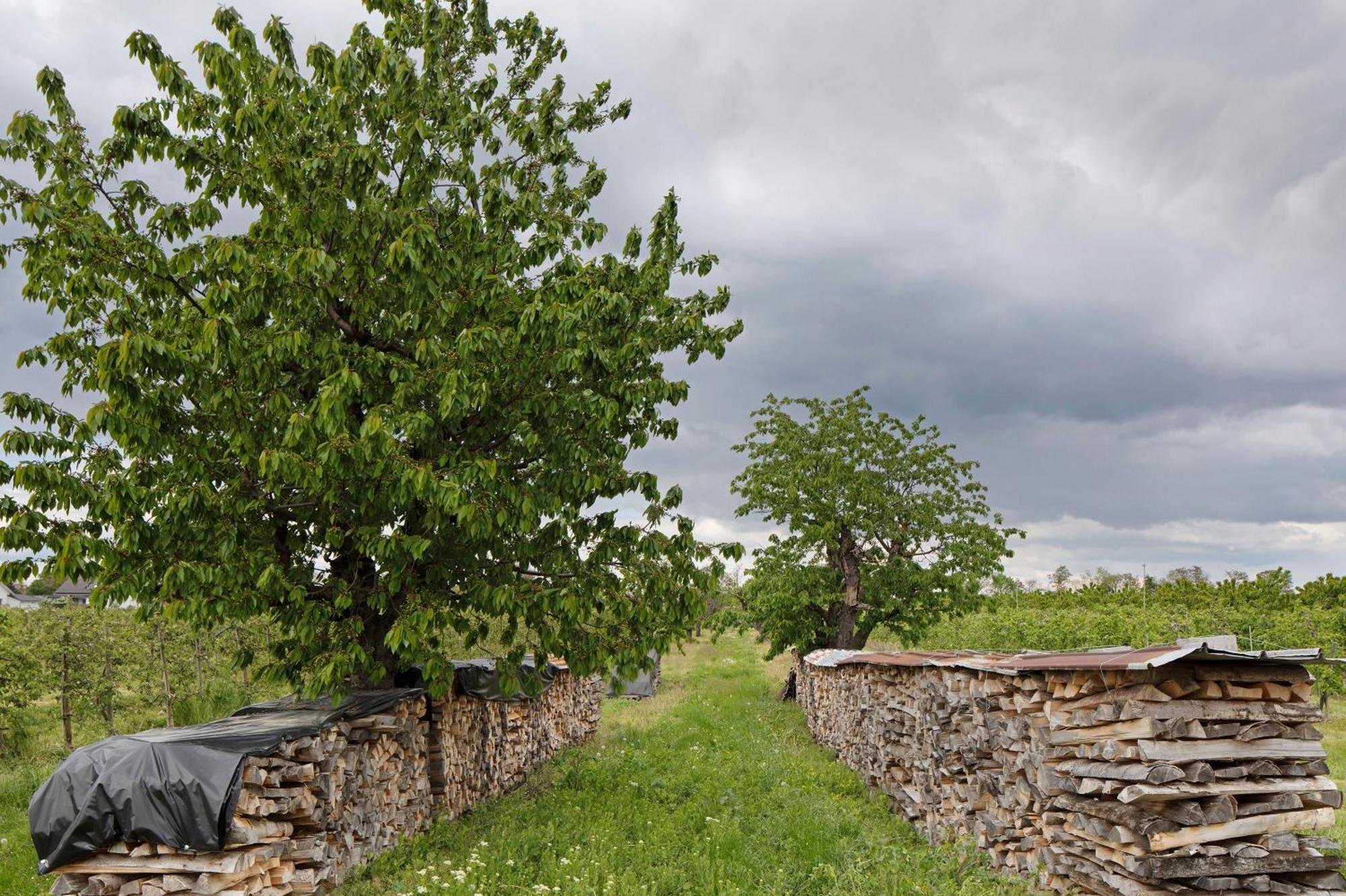 Ferienhof Schloessle Sasbach am Kaiserstuhl Luaran gambar