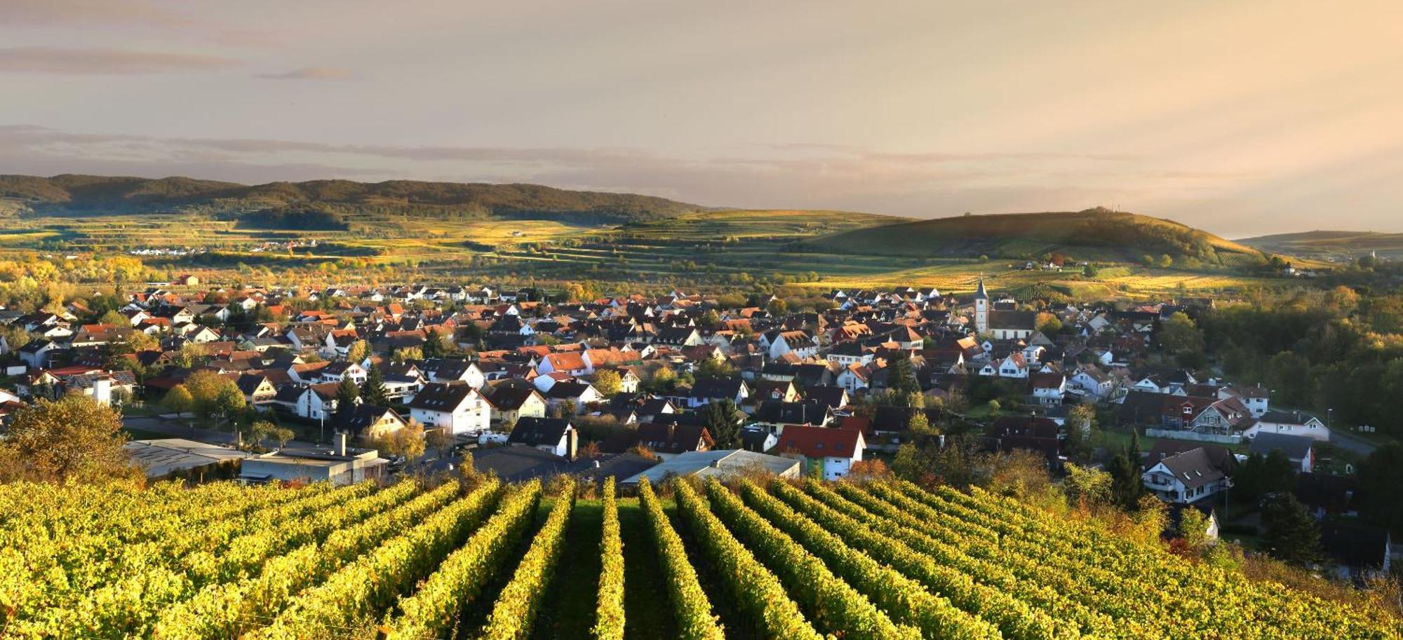 Ferienhof Schloessle Sasbach am Kaiserstuhl Luaran gambar
