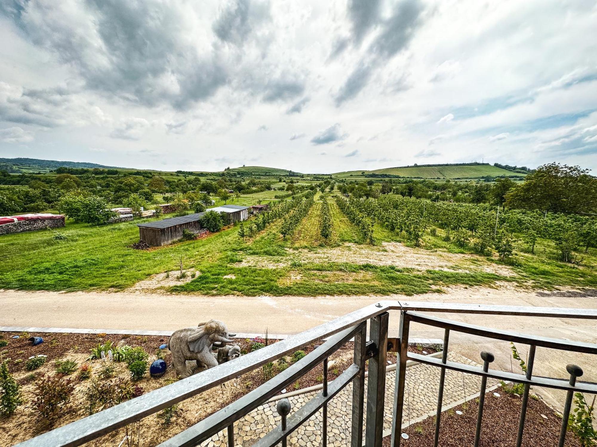 Ferienhof Schloessle Sasbach am Kaiserstuhl Luaran gambar